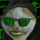 hackerwutbg