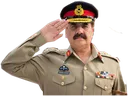 Salute