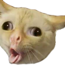 cough Discord emoji