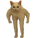squareup Discord emoji