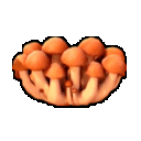 :spinningshrooms: Discord Emote
