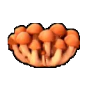 spinningshrooms
