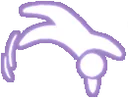 SkyBackflip SkyBackflip