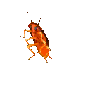 TESCucaracharcoiris Discord emoji
