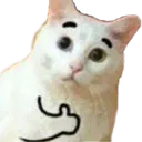 thumbsup_cat