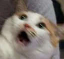 Shock
