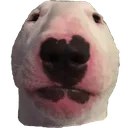 walter
