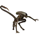 xenomorphrunner