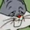 bugs