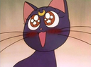 :lunahearteyes: Discord Emote
