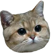 :dot: