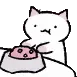 AMNHkittynomsmisa