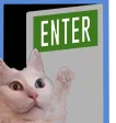 OlafEnter