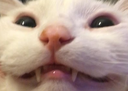 EEEEE