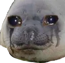 cry