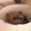 WAAAAAAAHHHHHHHHHHH