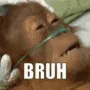 Bruh