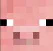 Minecraftpig Discord Emoji