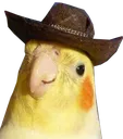 cowbirb cowbirb