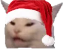 CatWut
