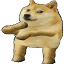 dogedance