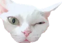SogeumWink