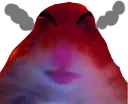 AngoredBruh AngoredBruh