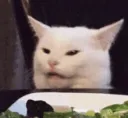 memecat memecat