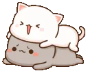 catsnuggle