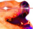 dogemegalaugh