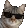CattoCoolest