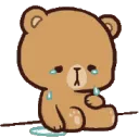 bearcrying bearcrying