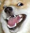 Happer