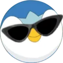 piplupcool