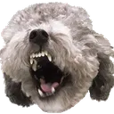zeroTeeth