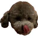 zeroYum zeroYum