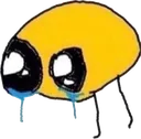 cri