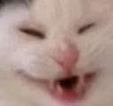 heh