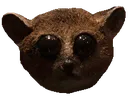 thing