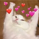 Heartsuvu
