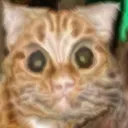 cursedcat2