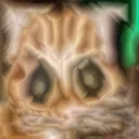 cursedcat3