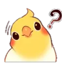 BirdConfused