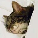 sleepybitch