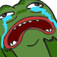 :Pepe_Meltdown: Discord Emote