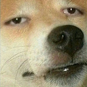 :really: Discord Emote