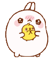 BunnyPlease