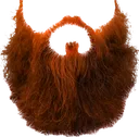 Jonkgingerbeard Jonkgingerbeard