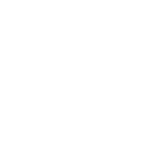 brainxray_side