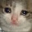 sadcat sadcat